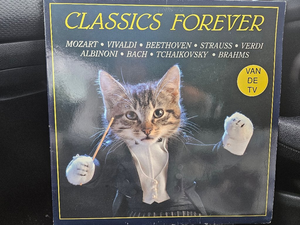 LP Various - Classics Forever (2-LP), CD & DVD, Vinyles | Compilations, 12 pouces, Enlèvement ou Envoi, Classique, Utilisé