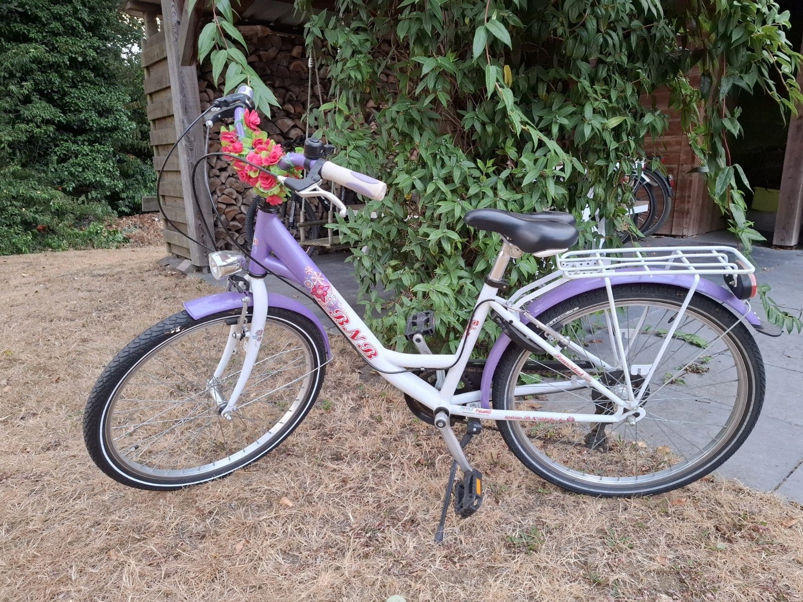 Kinderfiets 24 inch, Ophalen, 24 inch