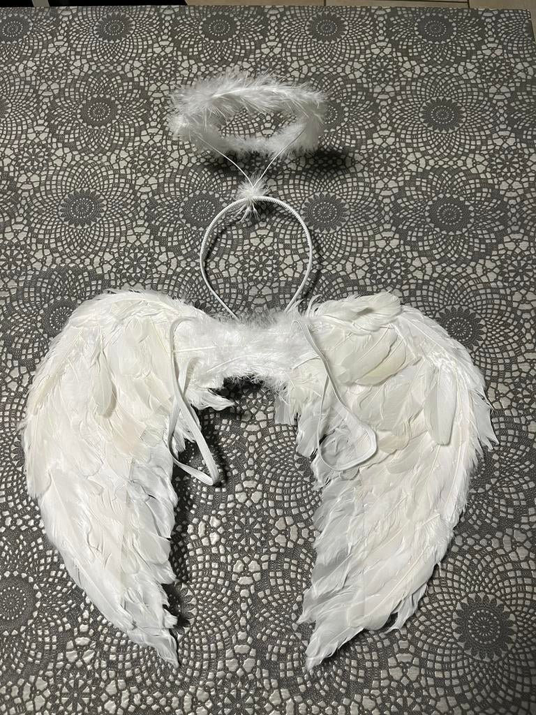 Ailes et serre tête, Enlèvement, Comme neuf
