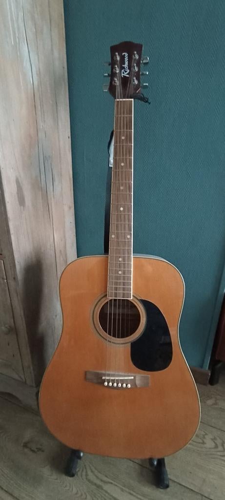 Richwood gitaar., Muziek en Instrumenten, Ophalen