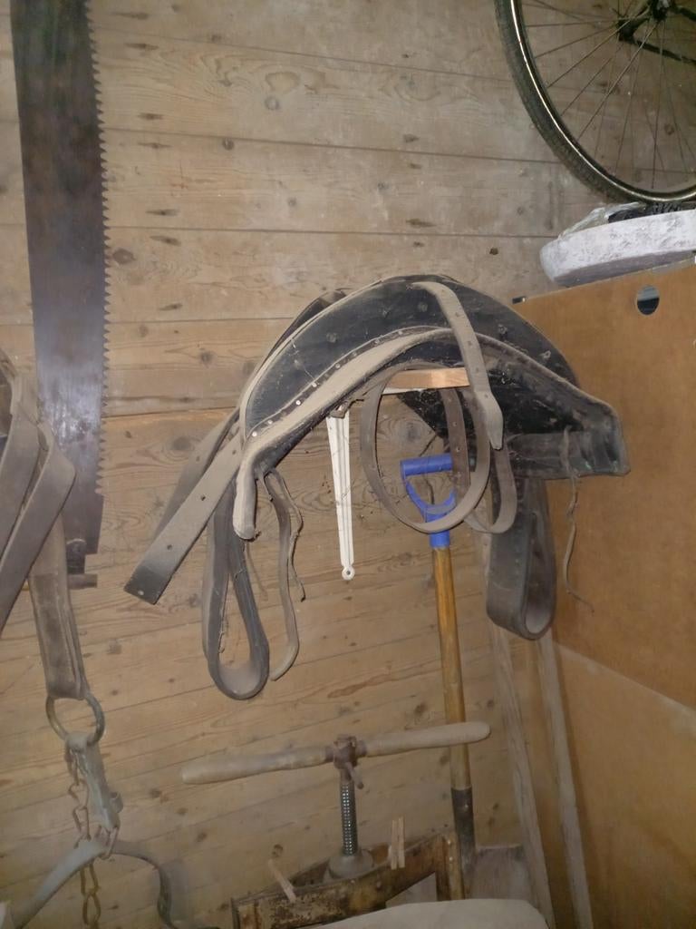 Kopstuk met bit, haam, zadel en achterhaam voor belgichtrekp, Dieren en Toebehoren, Ophalen, Gebruikt