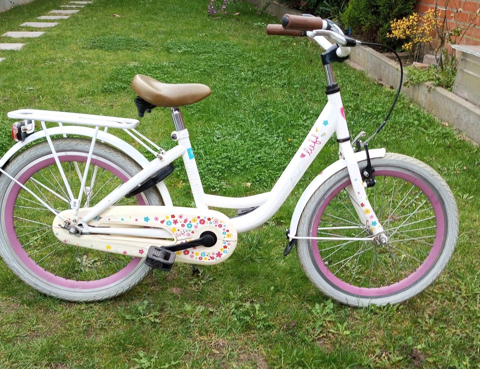 Vélo pour fille, Enlèvement, 20 pouces