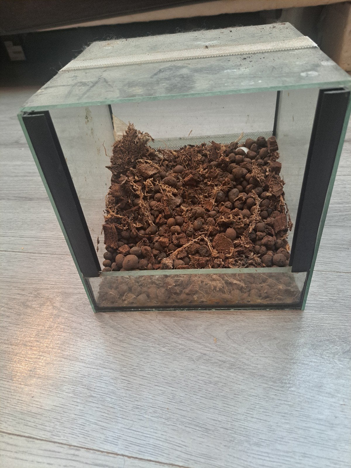Terrarium S, Dieren en Toebehoren, Ophalen