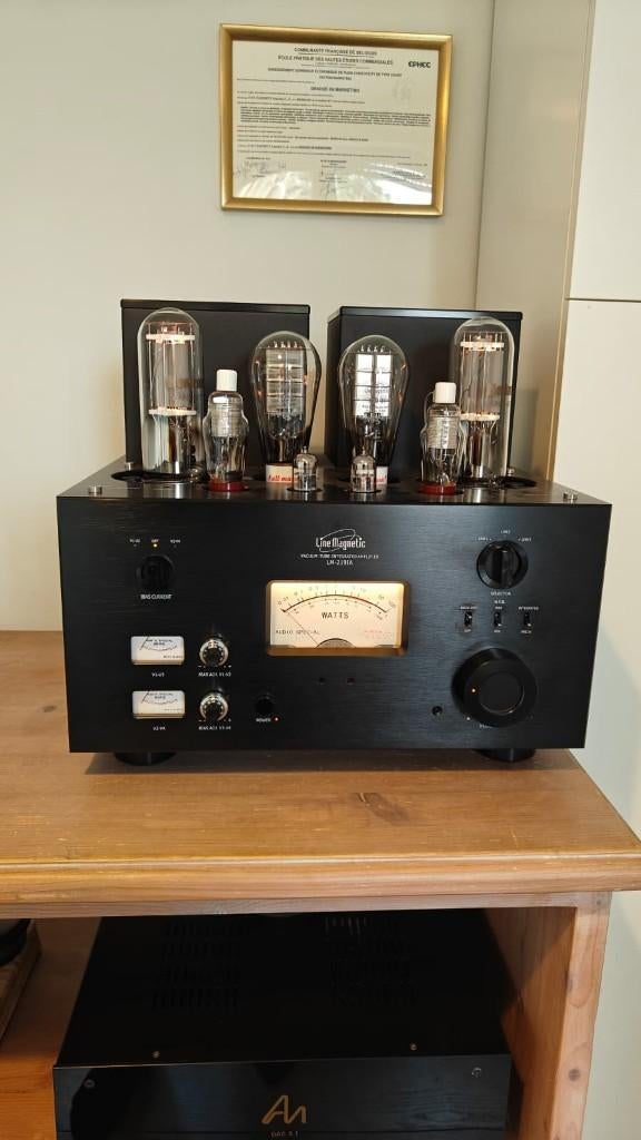 Line Magnetic LM-219IA, Enlèvement, Amplificateur