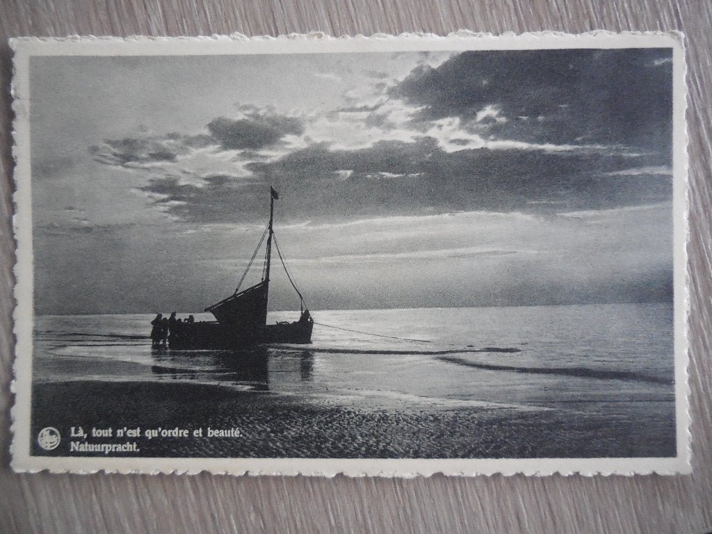 postkaart Blankenberge Natuurpracht, Verzamelen, Ophalen of Verzenden, 1920 tot 1940, Gelopen, West-Vlaanderen