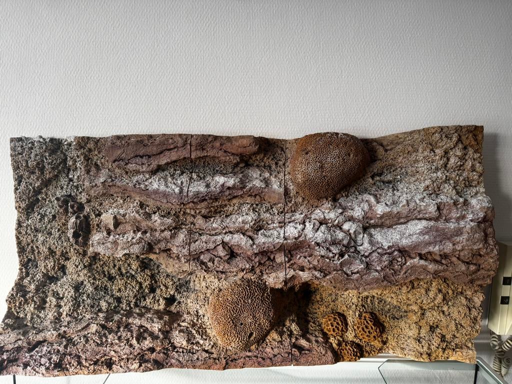 Achterwand 3D voor aquarium of terrarium 100 x 50 x 18, Dieren en Toebehoren, Ophalen, Zo goed als nieuw