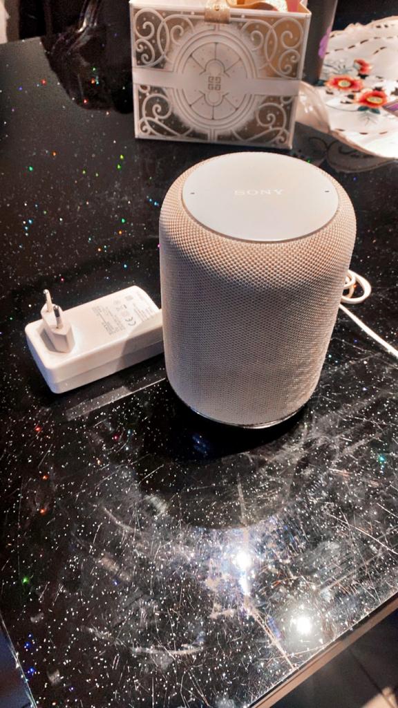 Enciente assistant google Sony a vendre, Enlèvement, Comme neuf
