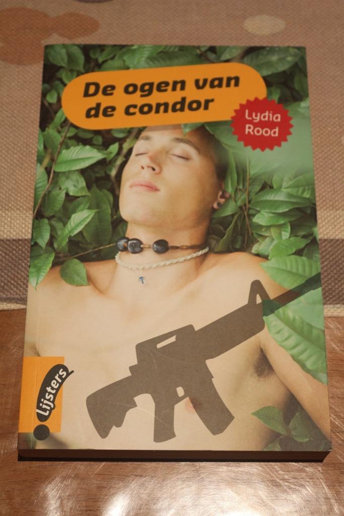 *De ogen van de condor - Lydia Rood, Livres, Livres pour enfants | Jeunesse | 13 ans et plus, Comme neuf, Fiction, Enlèvement ou Envoi