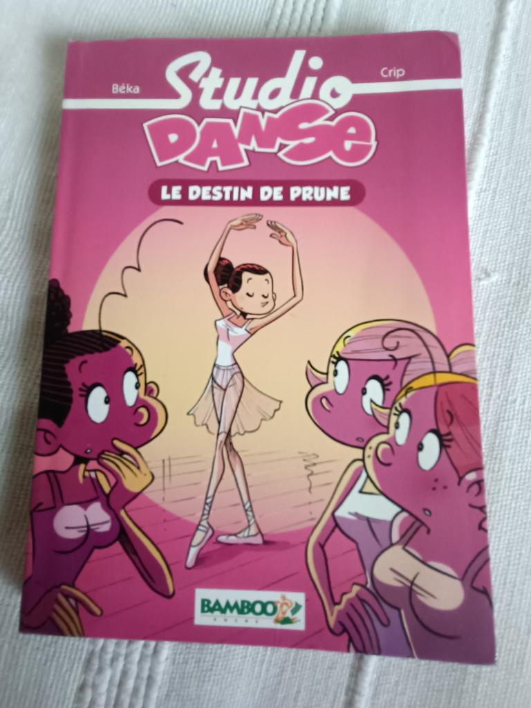 Livre "Studio Danse - Le destin de Prune", Enlèvement ou Envoi, Utilisé, Non-fiction