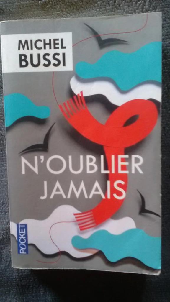 „Vergeet nooit” Michel Bussi 2014, Boeken, Detectives, Gelezen, Verzenden