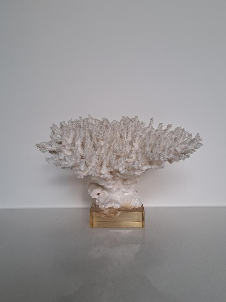 Koraal op voetstuk uit de jaren 70, Antiek en Kunst, Ophalen of Verzenden