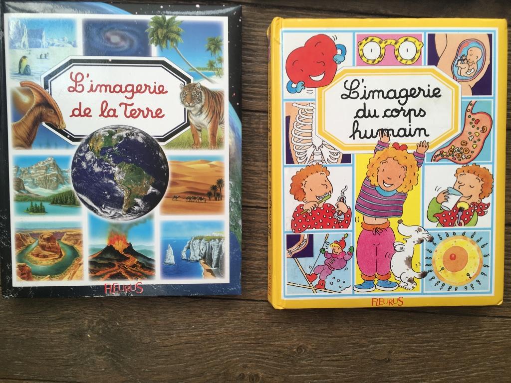 Livres L'imagerie - Fleurus, Enlèvement, Utilisé, Garçon ou Fille