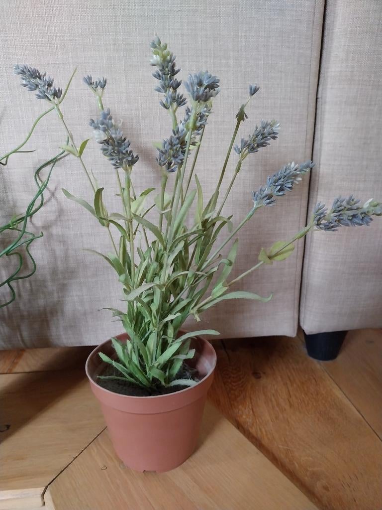 Namaakplant Ikea, Huis en Inrichting, Kamerplanten, Ophalen of Verzenden