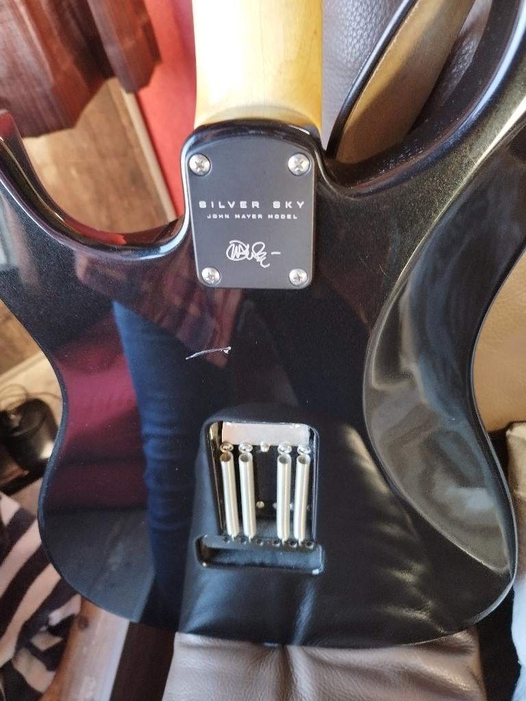 Prs silversky te koop, Ophalen