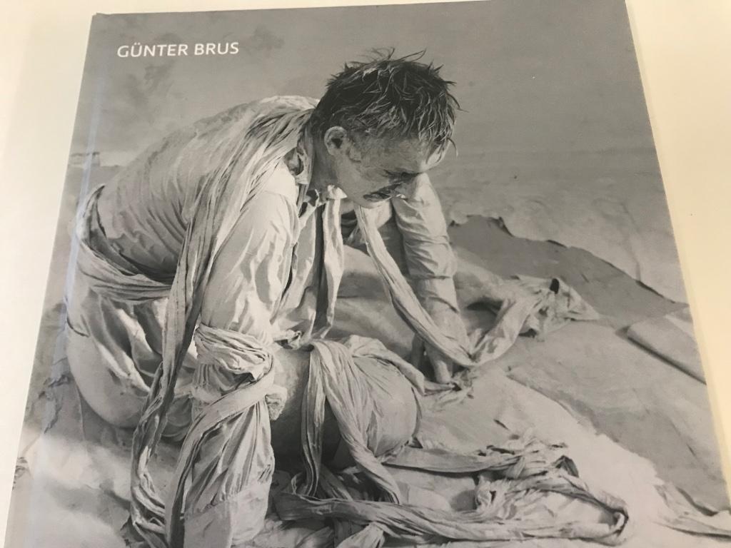 Günter Brus Vienna Actionismus 190pag, generatie Nitsch Mueh, Ophalen of Verzenden, Zo goed als nieuw, Schilder- en Tekenkunst