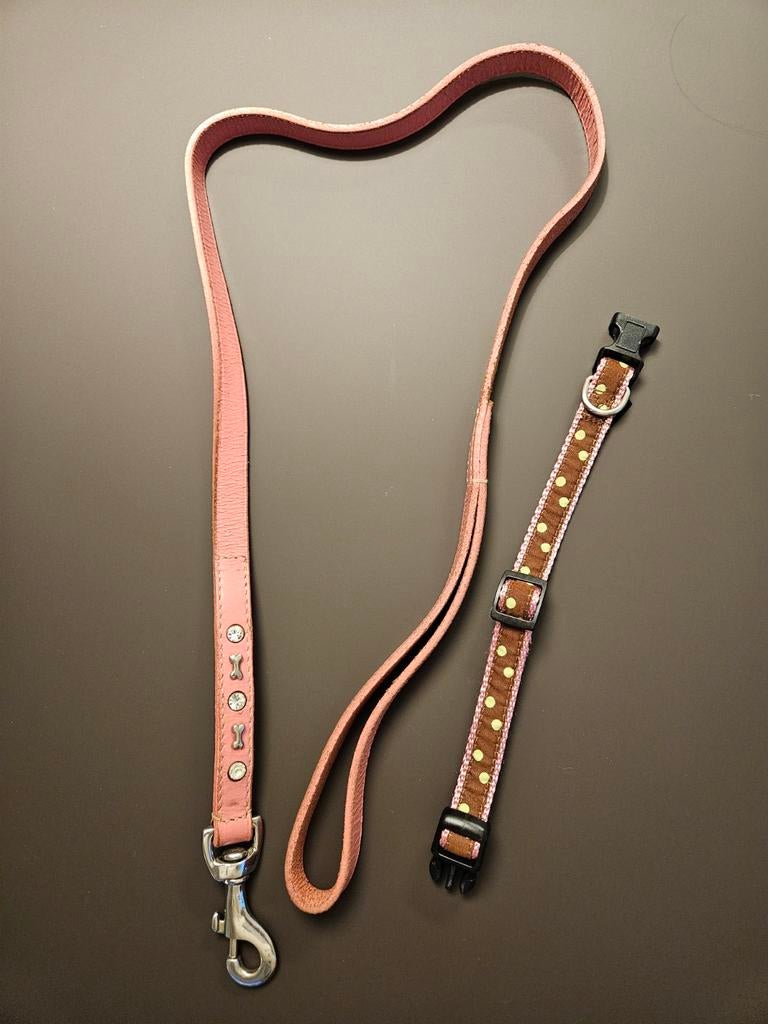 Laisse et collier en cuir pour petits chiens, Enlèvement, Comme neuf, Laisse pour chien