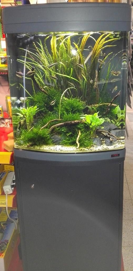 NIEUW -SERA Biotop XXL - LED, Ophalen, Nieuw, Leeg aquarium