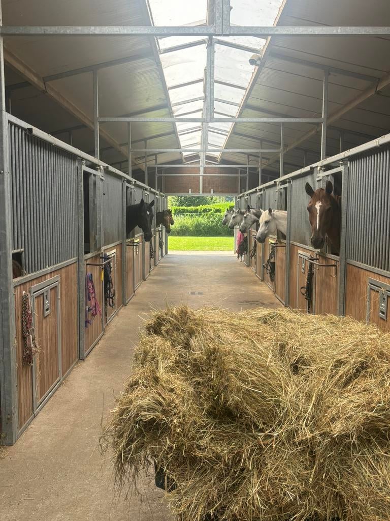 Volpension paardencentrum, Stalling