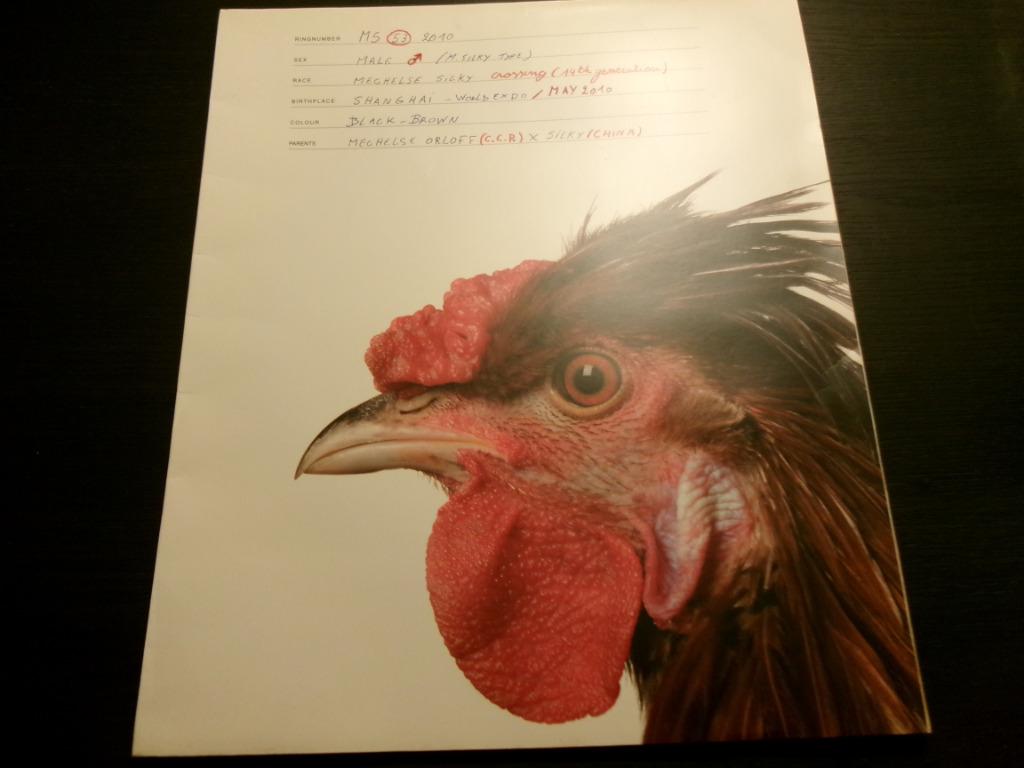 Kalender 2012  Koen Vanmechelen, Ophalen of Verzenden