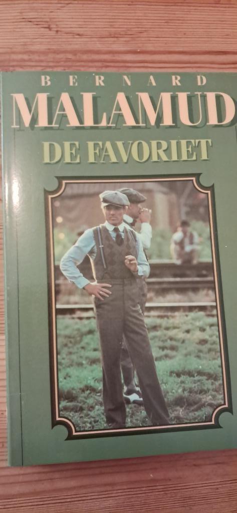 Boek roman ´ De favoriet ´, Boeken, Romans, Ophalen, Zo goed als nieuw, Bernard Malamud