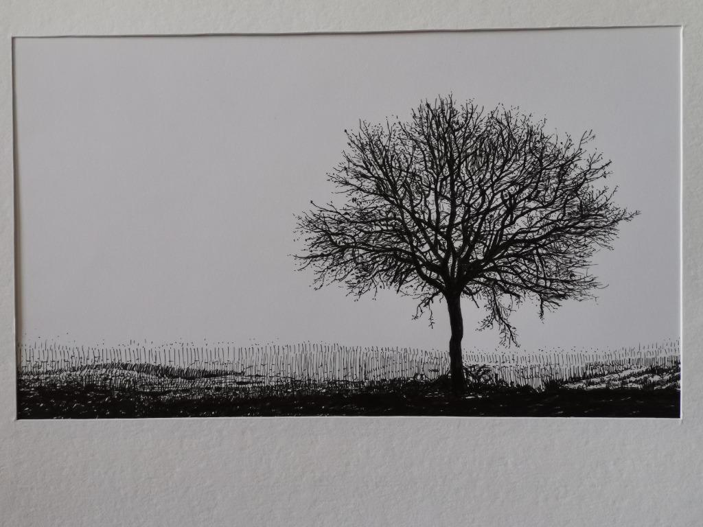 Solitaire boom - tekening, Antiek en Kunst, Ophalen