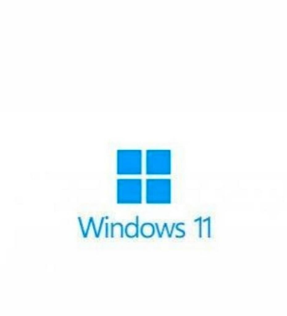 Windows 11 Pro USB, Computers en Software, Besturingssoftware, Windows