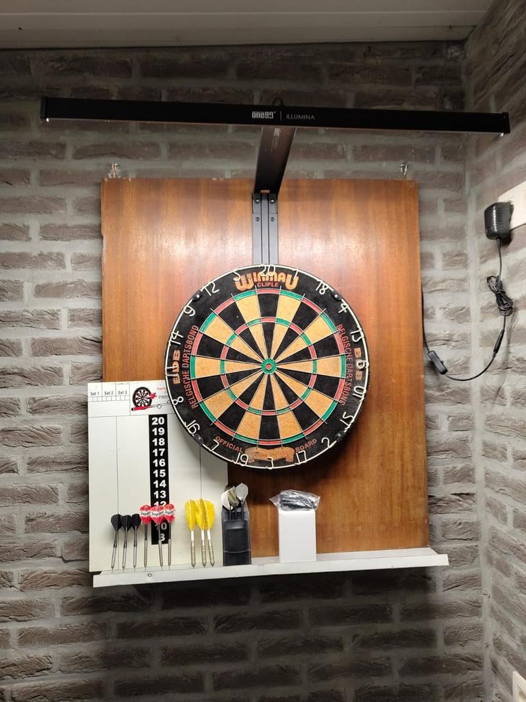 Dartbord met lamp, Sport en Fitness, Ophalen, Zo goed als nieuw, Dartbord