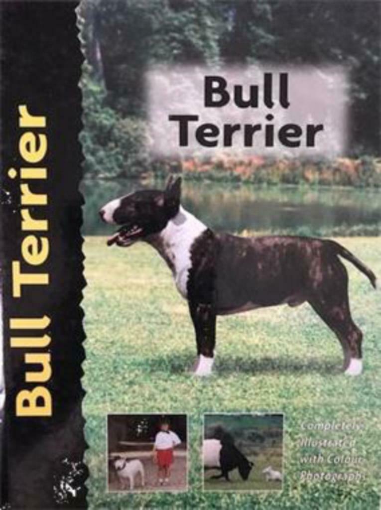 Bull Terrier Engels boek, Ophalen of Verzenden, Gelezen, Honden
