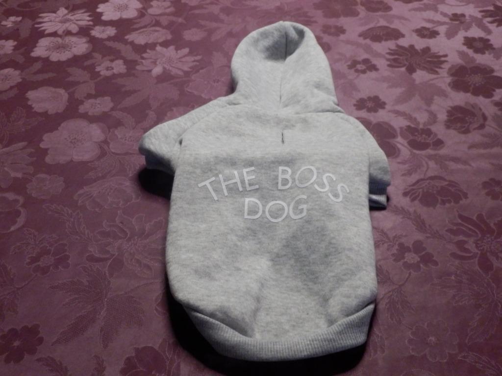 (38)- pull petit chien t.S gris - action -, Animaux & Accessoires, Vêtements pour chiens, Enlèvement ou Envoi, Comme neuf, Pull pour chien