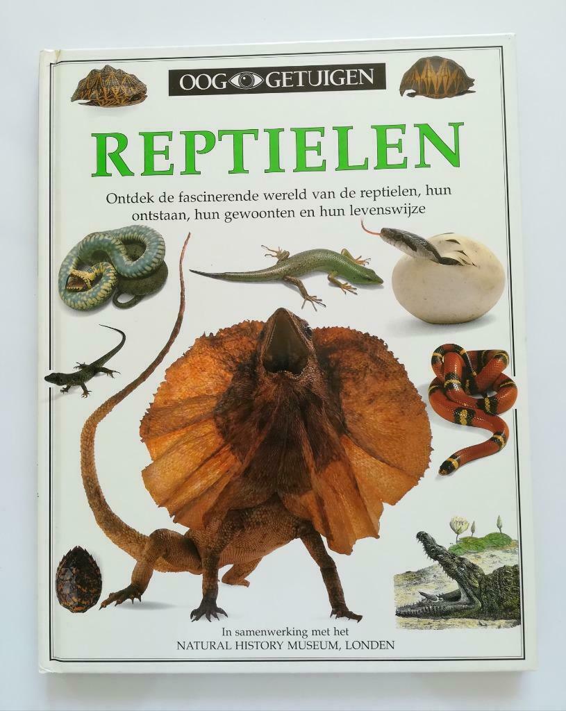 Reptielen (Colin McCarthy / Ooggetuigen), Livres, Animaux & Animaux domestiques, Comme neuf, Reptiles ou Amphibiens, Colin McCarthy