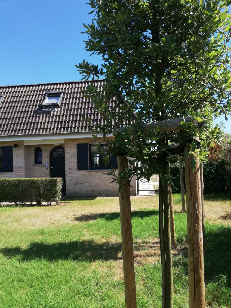 Vakantiewoning bij Plopsaland De Panne, Eigenaar