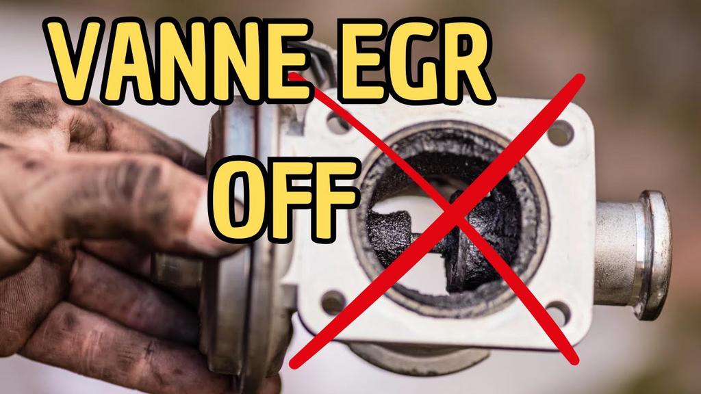 Solution Vanne EGR Off Charleroi (suppression), Enlèvement ou Envoi, Neuf