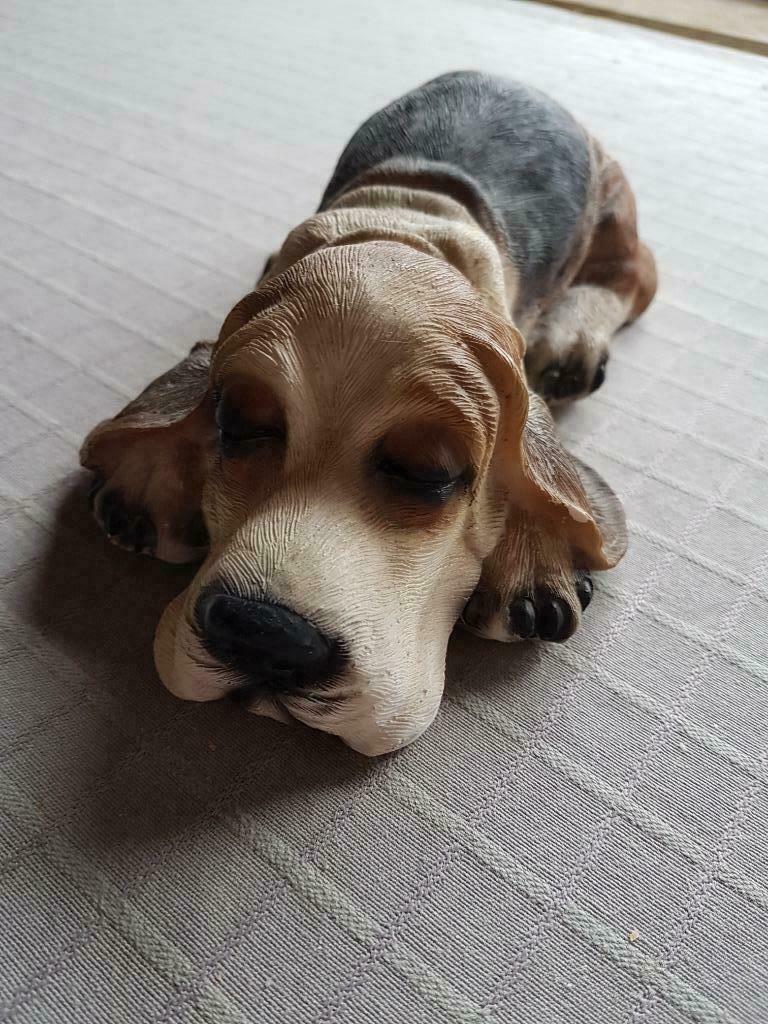 basset verzameling, Verzamelen, Dierenverzamelingen, Ophalen