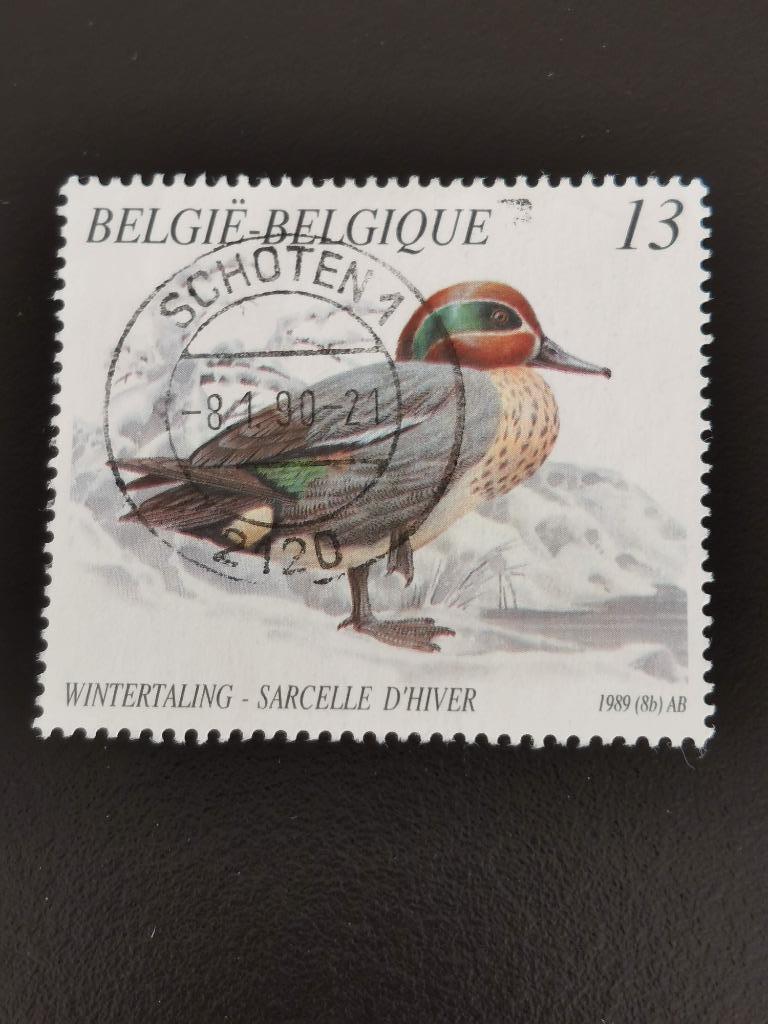 Belgique 1989 - oiseaux - canards - sarcelle d'hiver, Timbres & Monnaies, Enlèvement ou Envoi, Affranchi, Autre