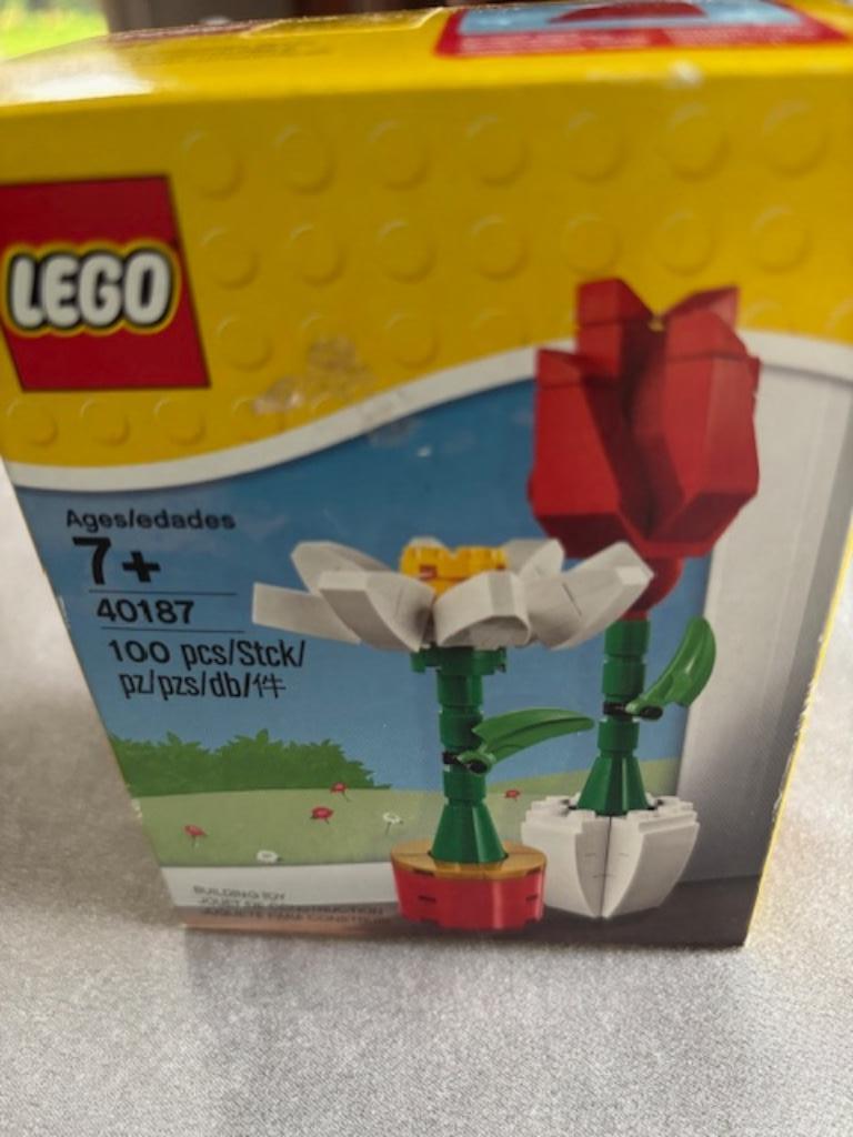 Lego bloemenpracht (40187), Ophalen, Zo goed als nieuw, Complete set, Lego