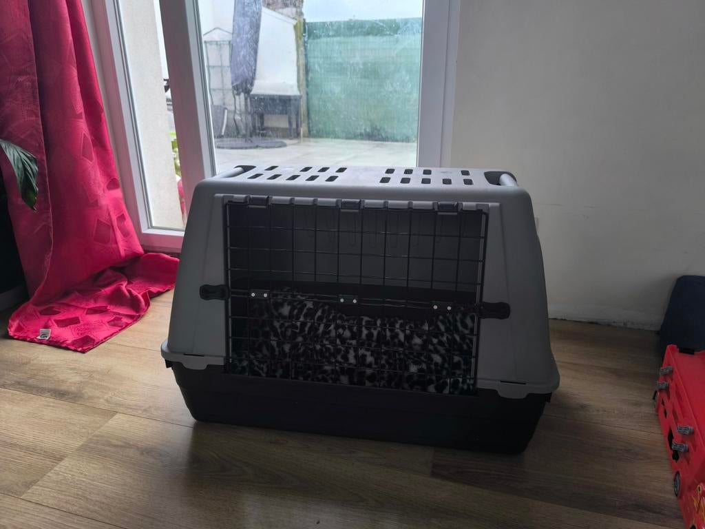 Cage de transport pour chiens, Animaux & Accessoires, Caisses pour chiens, Enlèvement, Neuf