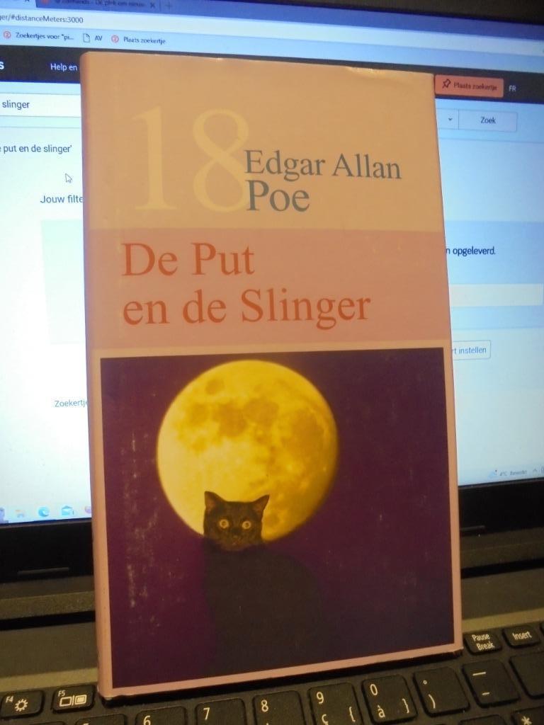 De Put en de slinger, Ophalen of Verzenden, Zo goed als nieuw, België