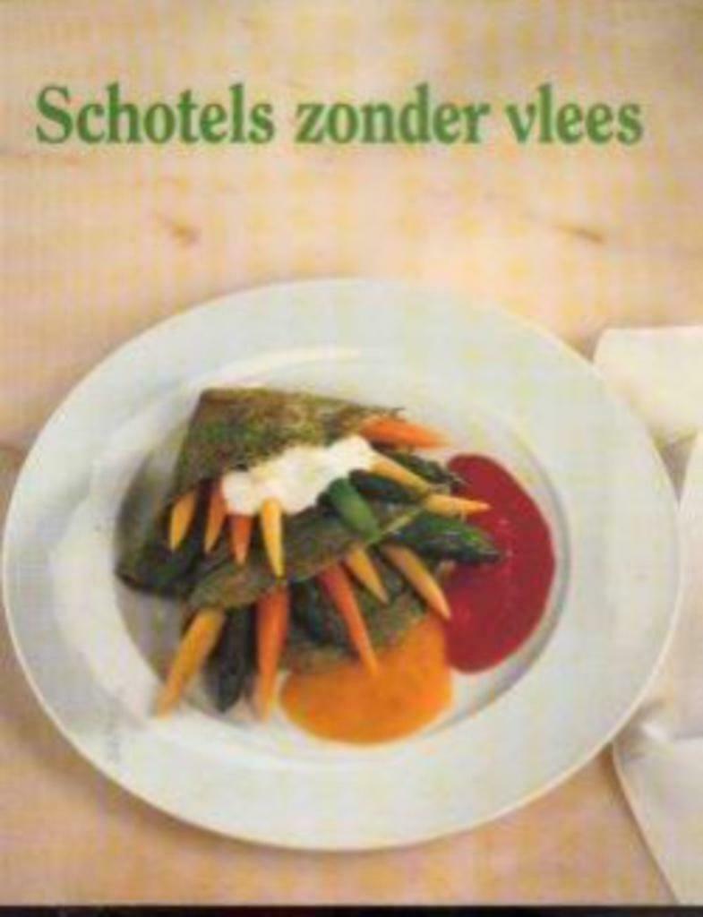 Schotels zonder vlees, Livres, Livres de cuisine, Enlèvement ou Envoi