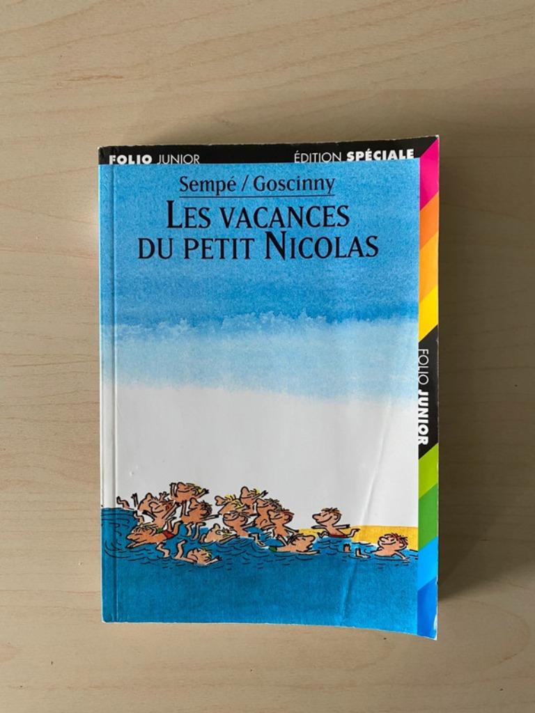 Livre Les vacances du petit Nicolas, Livres, Enlèvement ou Envoi, Utilisé