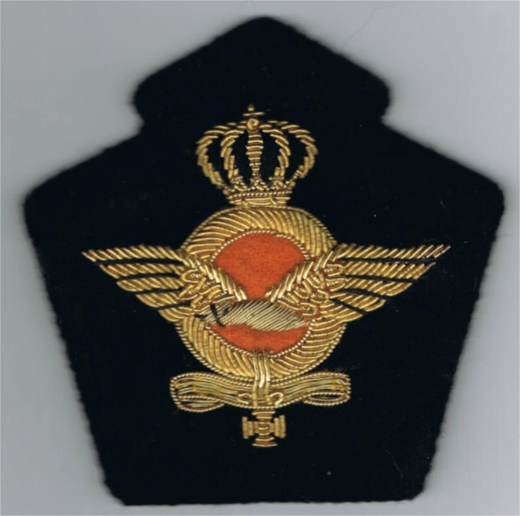 Koninklijke Nederlandse Luchtmacht blazerpatch ( M45 ), Ophalen of Verzenden, Luchtmacht, Embleem of Badge