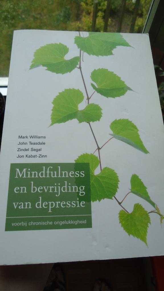Mindfulness en bevrijding van depressie, Enlèvement ou Envoi, Utilisé
