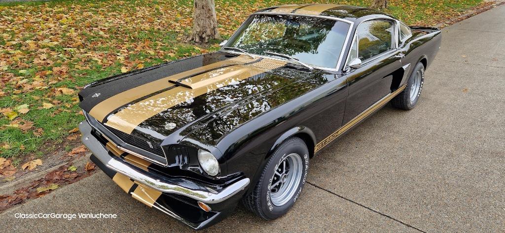 Mustang Shelby GT350H tribute, 4 zetels, Achterwielaandrijving, Zwart, Bedrijf