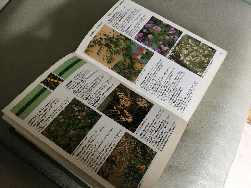 „HET HILLIER-KLEURENWOORDENBOEK BOMEN&STRUIKEN"D&CHARLES, Ophalen of Verzenden, DAVID&CHARLES