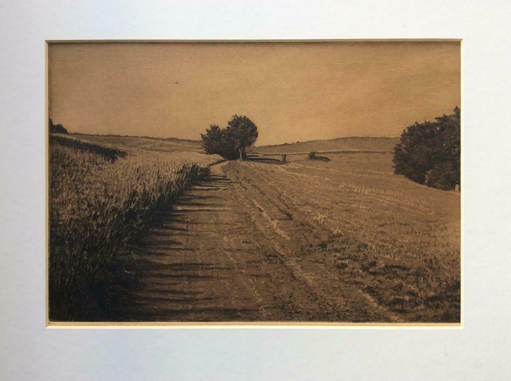 Chine collé Marcel Praet (1946) Landschap, Antiek en Kunst, Ophalen