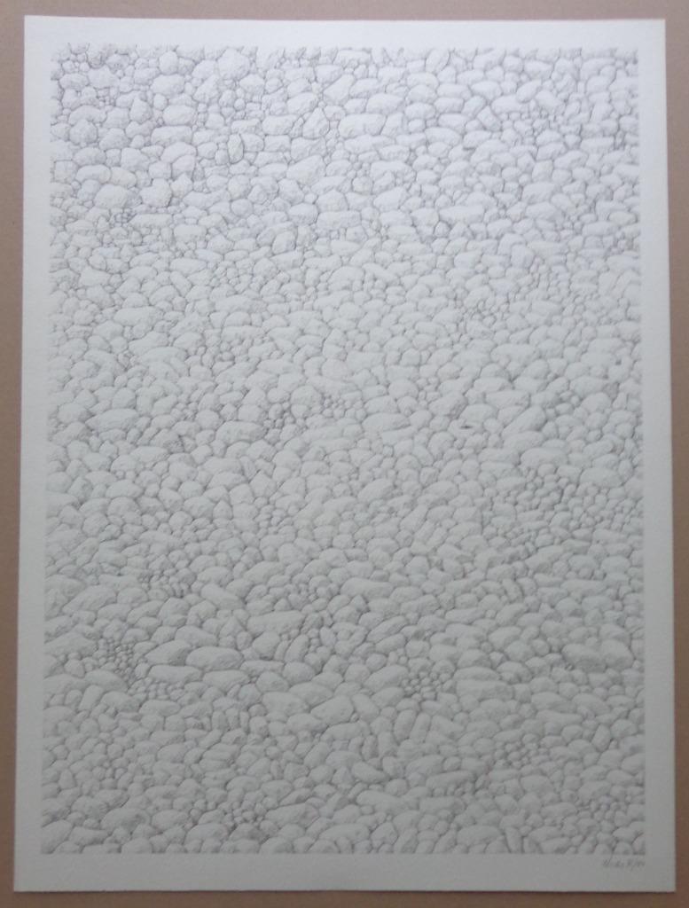 ETIENNE ELIAS / KASSEIEN / ZW-W LITHO / 75x56cm / SIG, Antiek en Kunst, Ophalen of Verzenden