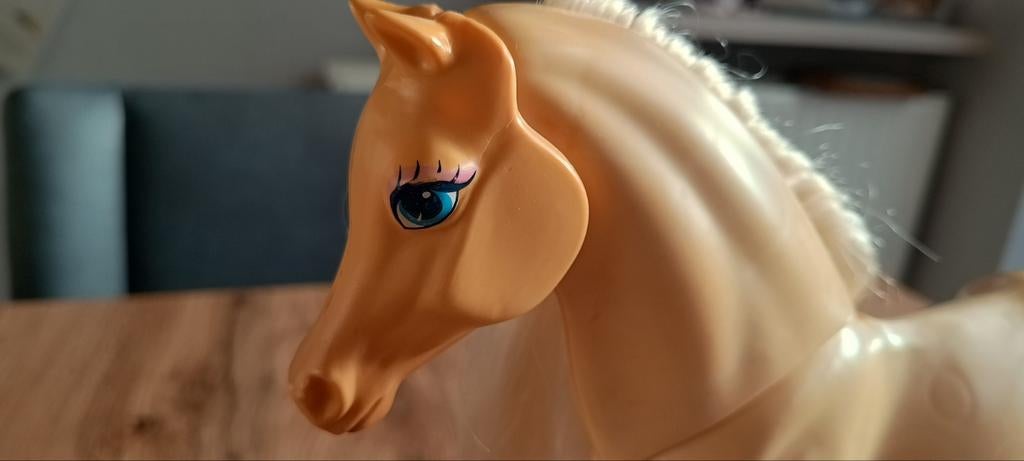 Barbie à cheval, Enlèvement