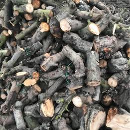 Droog brandhout - Appel - 35 cm gezaagd - stook klaar 75 €, Ophalen, Nieuw