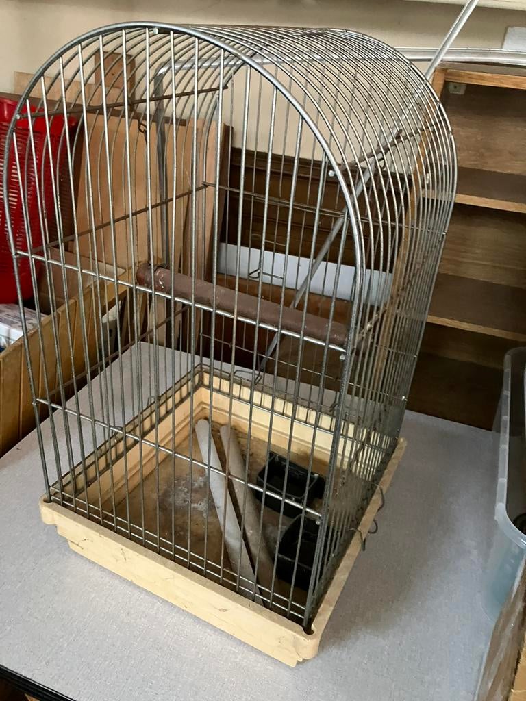 Cage Perroquet, Enlèvement, Utilisé, Métal, Cage à oiseaux