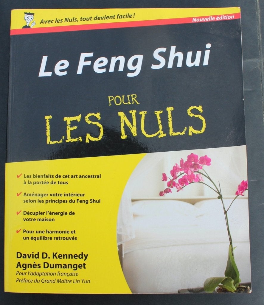 "Le Feng Shui pour les nuls"., Enlèvement ou Envoi, Intérieur et Design, David D.Kennedy et Agnès Demanget, Utilisé