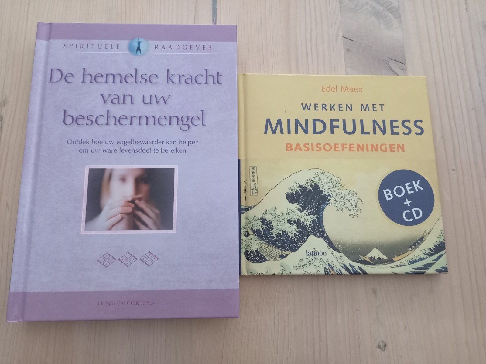 ZGAN  boeken 6e per stuk, Ophalen of Verzenden